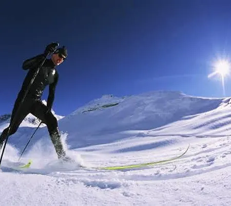 Hotel Alpenblick-leukerbad-therme 3*