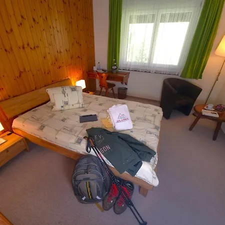 Alpenblick-leukerbad-therme 3* Лойкербад